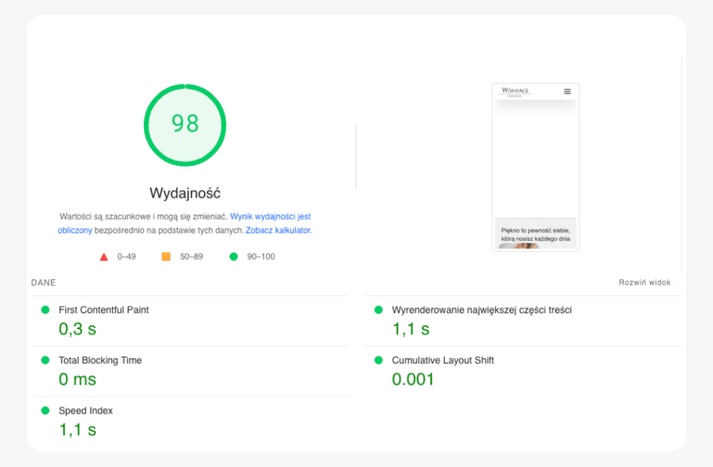pagespeed wishface www agencja manila